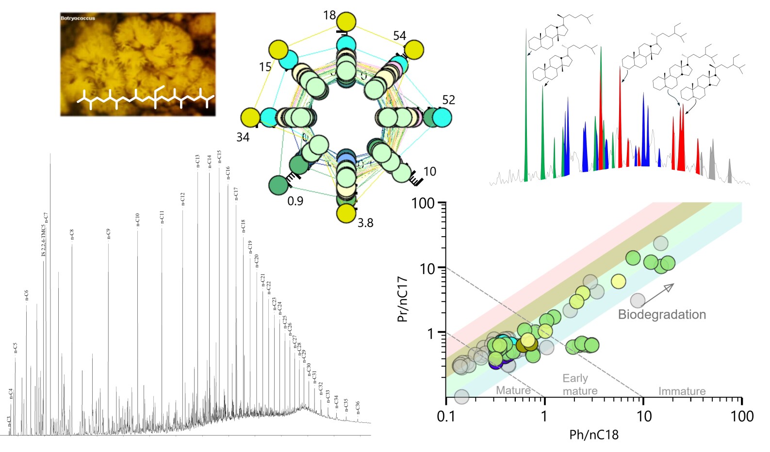 Petroleum Geochemistry Header